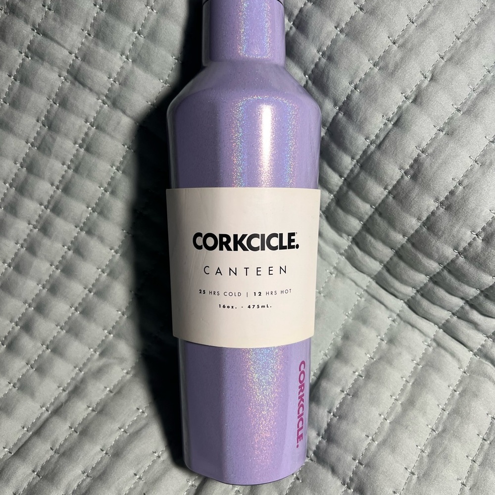 Corkcicle Iridescent Purple Canteen